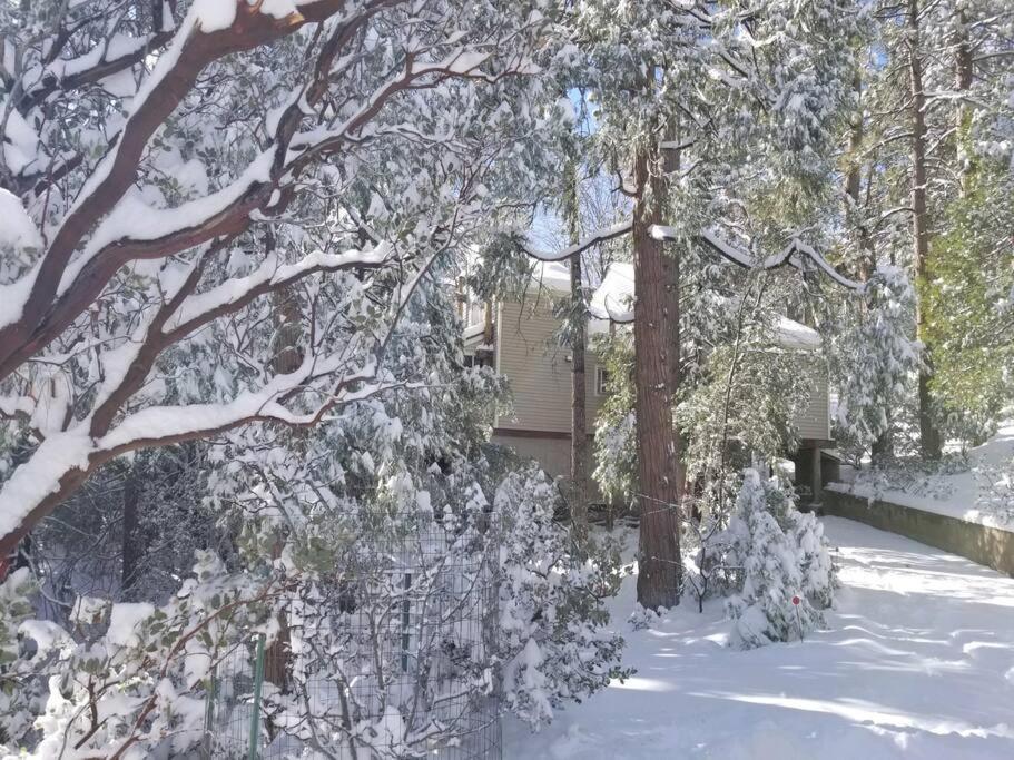 Casa De Los Arboles! Delight & Solitude Abound! Pine Cove Exterior photo