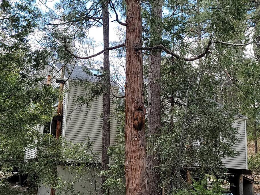 Casa De Los Arboles! Delight & Solitude Abound! Pine Cove Exterior photo